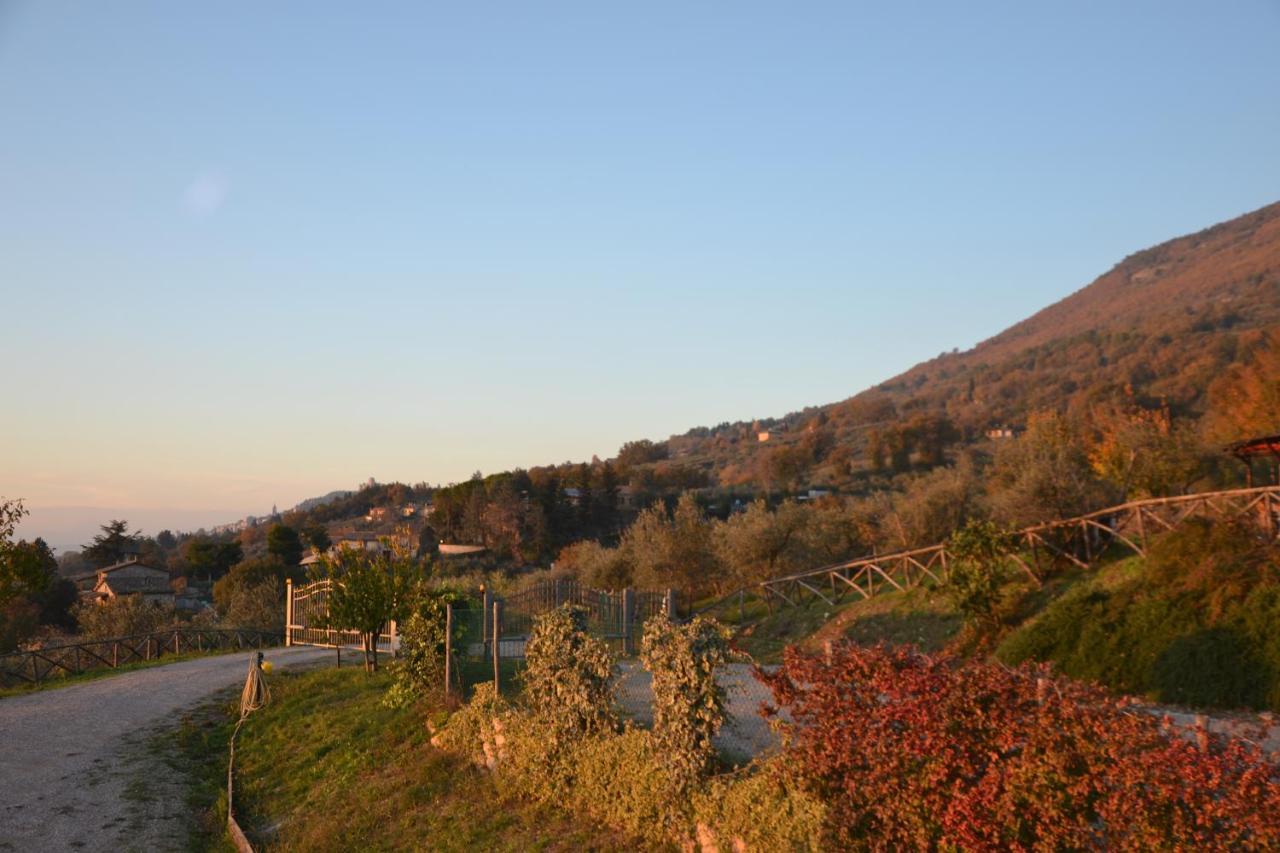 Locazione Turistica Villa Delle Rose Assisi Exterior foto